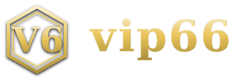vip66 logo